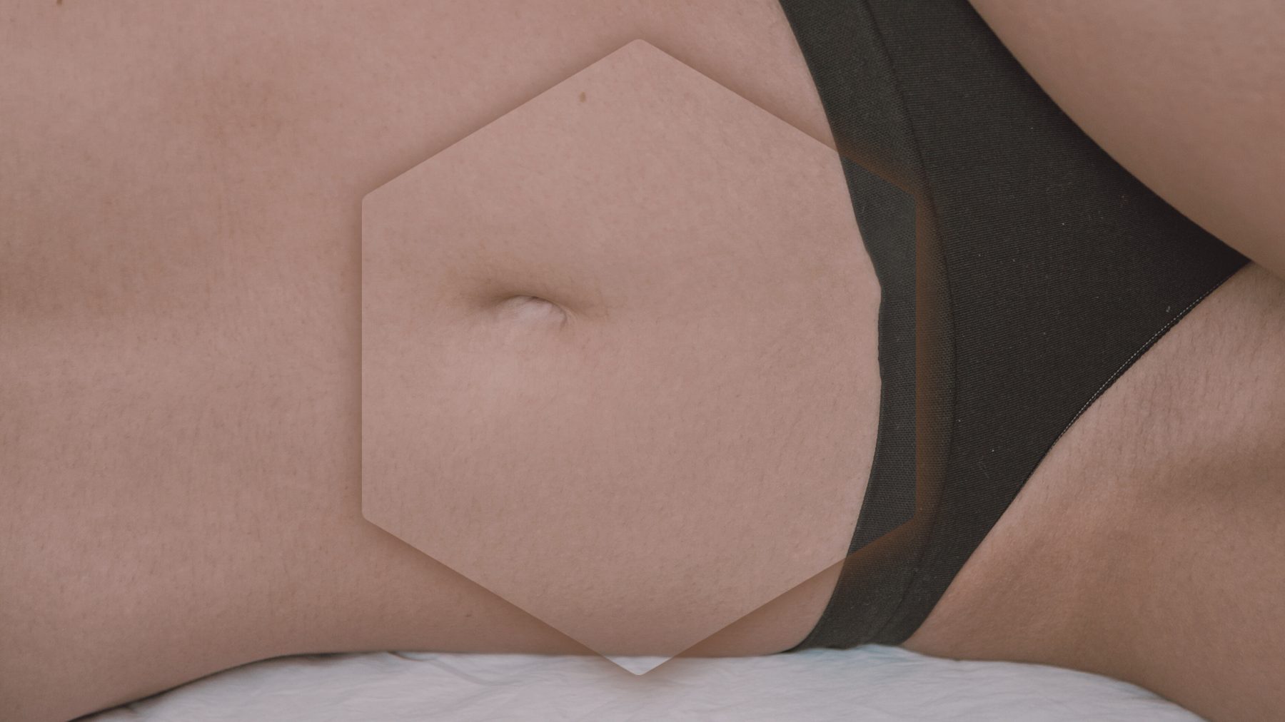The gut, marked by the HEXABIOME hexagon