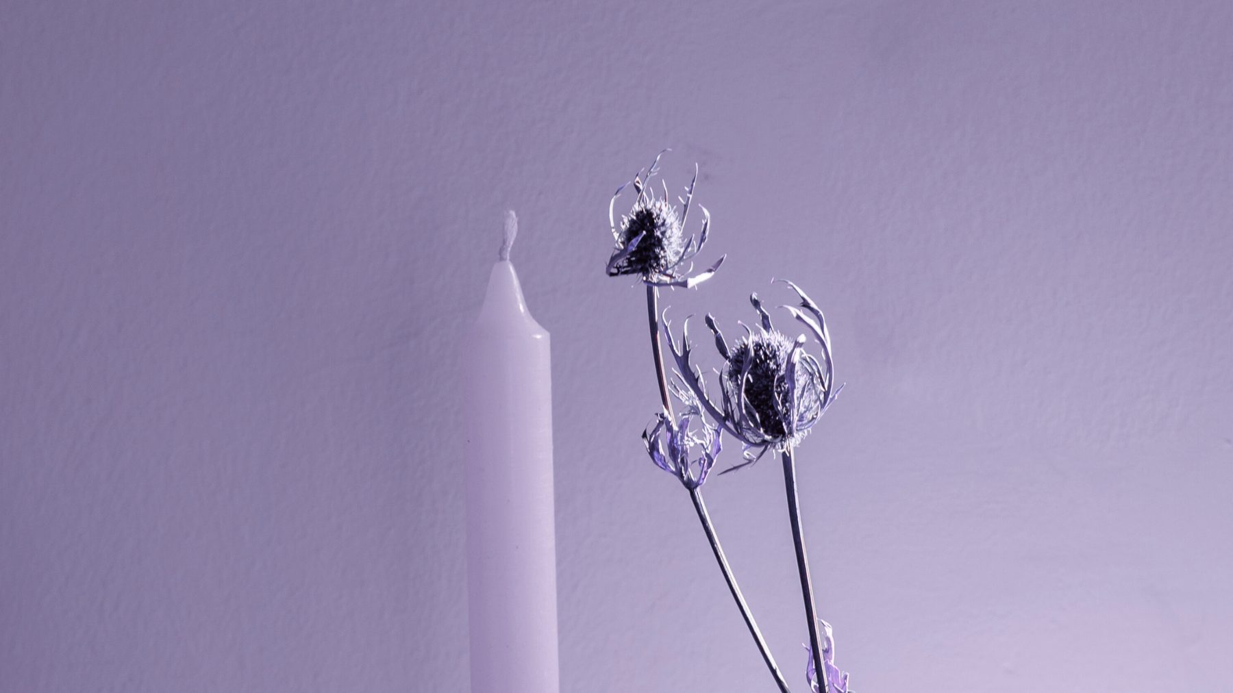 A candle and dried thistle in morning light